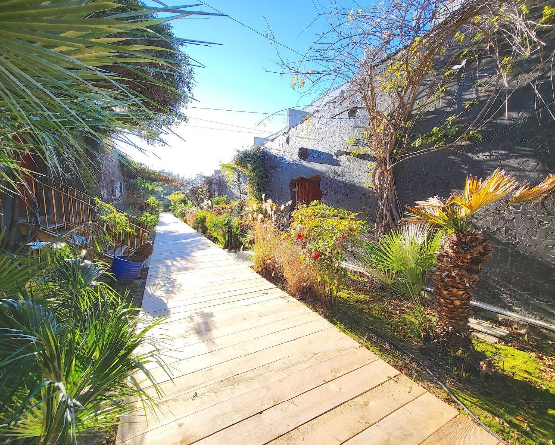 Bandol - Residence Premium Jardin, Piscine Et Garage Bagian luar foto